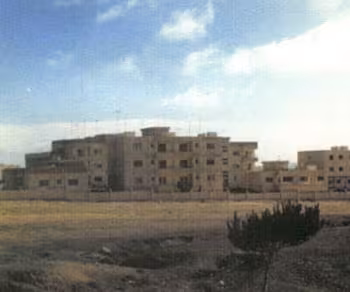 Karak Institute